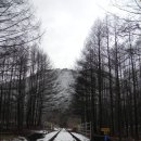 구절리역 이미지