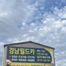 김해과일가게 내덕동 창고형직영매장 가성비 수박 내돈내산 후기
