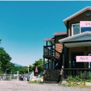 양양 발렌타인 애견펜션 이미지