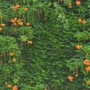 희망대공원길 이미지