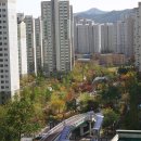 롯데사랑부동산공인중개사사무소 이미지
