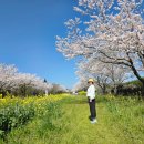 담다 | 제주 동쪽 감성 숙소 추천 여유를담다 펜션 후기