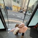 다빛 태권도장 이미지