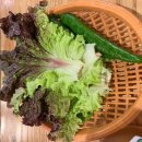 하안동 가족 외식하기 좋은 [삼대 족발] 내돈내산 후기