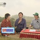 장미도시락 이미지