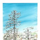 칠백민박 이미지