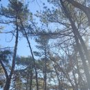 팔봉짬뽕 | 서울 가볼만한곳 자운암능선 관악산 연주대 팔봉능선 등산코스 다녀온 후기입니다