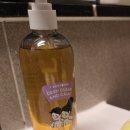 작은땀 | 사춘기바디워시 고민, 중학생 아들 땀냄새 관리 와프랩 티바디워시 사용 후기