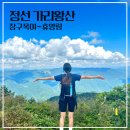정선 가리왕산 등산코스, 여름산행 시원한 이끼계곡 장구목이(feat. 안내산악회 산봉우리 후기)