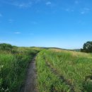 양동목장 이미지