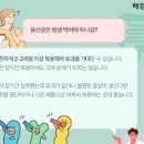 유산균 효과 및 먹는시간 이미지