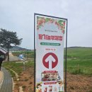 자연과 건강(산야초 이야기) | 고창 상하농원 나들이 후기 자연과 동물, 맛있는 먹거리까지 함께 즐긴 힐링 여행