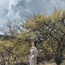 이천 봄 나들이 : 이천 산수유축제, 이천 도자기마을 만들기 체험