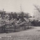공설운동장동편(2) 이미지