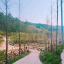 민지농장 이미지