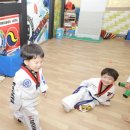 연세대석사태권짱 이미지