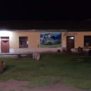 미겔리또 이미지