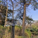 양재시장육교 계단 동쪽 | 구룡산 : 용오름다리 ~ 국수봉 ~ 구룡산 정상 ~ 대모산불국사 ~ 야생화원 (25.04.01)