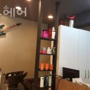 엘리스 헤어 - 울주군 | 엘리스 헤어