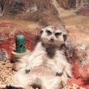 테이블에이 이미지