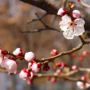 용두공원#1 이미지