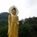 법주약국 Daum카페