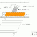 봉림상가사거리 이미지