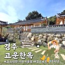 [경주] 감성 가득한 황리단길한옥숙소 고운한옥 투숙 후기 (feat. 경주황리단길한옥펜션 추천)