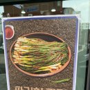 인수봉로 | 청년사업 강북 파김치 파티 참여 후기 무료 참여 청년무료지원 강북청년센터 강북청년창업마루