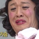 순돌뭐하니 이미지