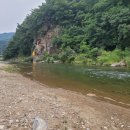 칭구장어 이미지