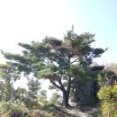 전주건강셀프산우회2025년 9월둘째주 (13일)순창 강천산 산행 공지 합니다 이미지