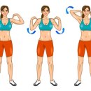 잠실피트니스 이미지