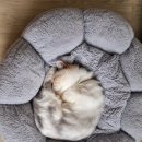 김민성 동물병원 이미지