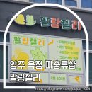 [양주 옥정 파충류샵]말랑젤리 | 직접 다녀온 리얼 후기! 크레스티드 게코부터 펫테일까지 체험 가능 ✨