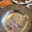 건강보리밥 | 진주 하대동 옛날보리밥 솔직 방문 후기 30년 전통 건강한 집밥 한상