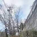 2025 12 24 (수) 청와대뒷산 백악산 숙청문등산 (돼지방 3명참여) 맨발 광대 미황 이미지