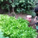 여수밤바다민박 이미지