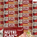 도그플랜 이미지