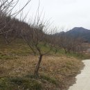 하동산초농장 이미지