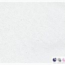 시소동물병원