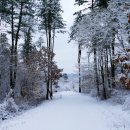 비엠더블유(B.M.W) 이미지