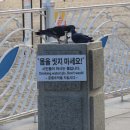 미션세상 이미지