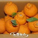 무릉문화의 집 이미지