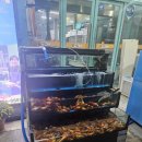 어랑쌈 | [내돈내산]대구 신천동 가성비 좋은 회집 "어랑회랑"