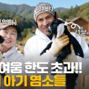 화선기획
