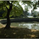 선소로3 이미지