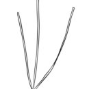 파인(143) 이미지