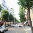 강남신사동공인중개사사무소 이미지