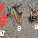 미미향 - 포천시 화동로 2061-1 | 미미향